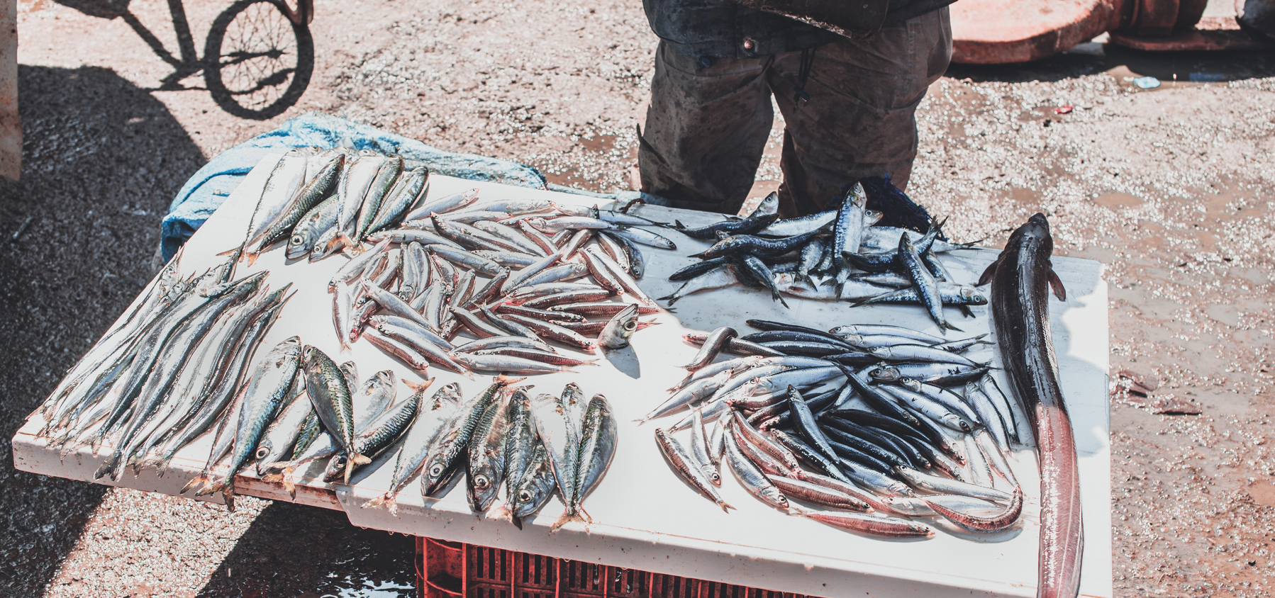 La Belle-Iloise Conserverie