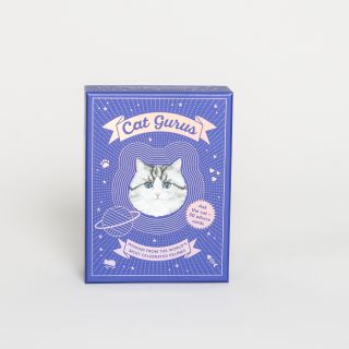  Cat Gurus - Wisdom from the World's Most Celebrated Felines