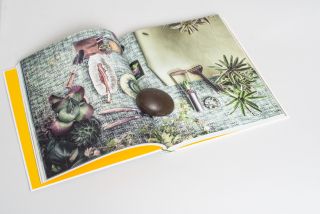 Evergreen: Living with Plants