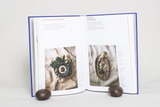 Noma 2.0: Vegetable, Forest, Ocean