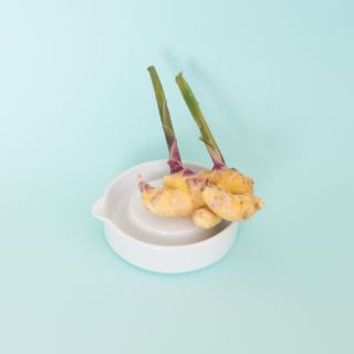 Kihara Sitaku Ginger Grater