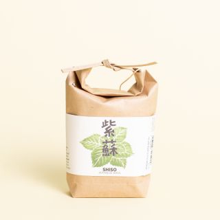 Noted - Cultivate & Eat Shiso Japanese Basil