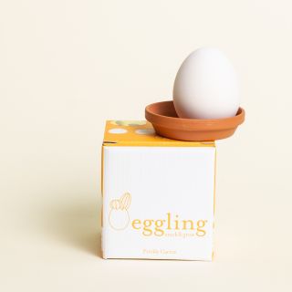 Noted - Eggling Cactus