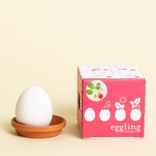 Noted - Eggling Wild Strawberry