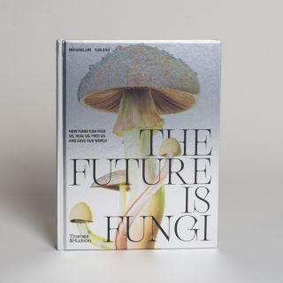 The Future is Fungi by Michael Lim and Yun Shu